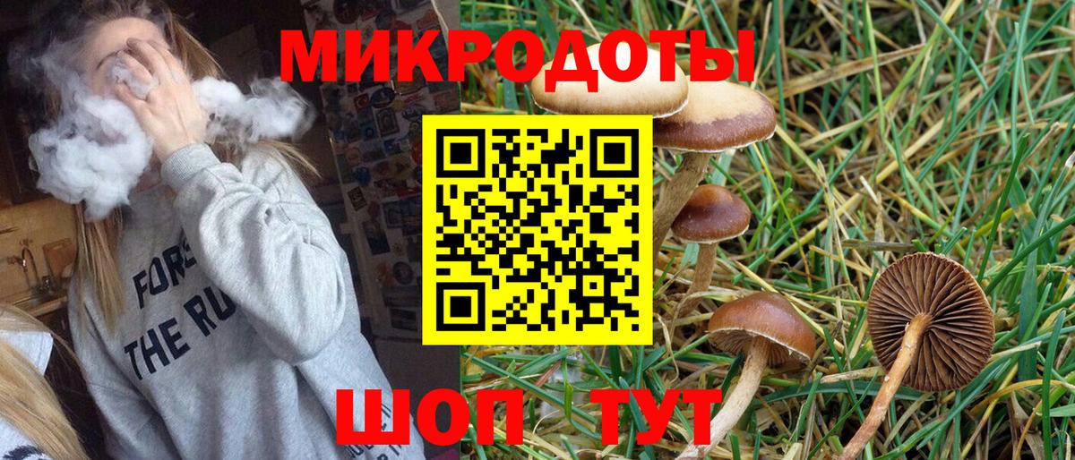Галлюциногенные грибы мицелий Великий Новгород