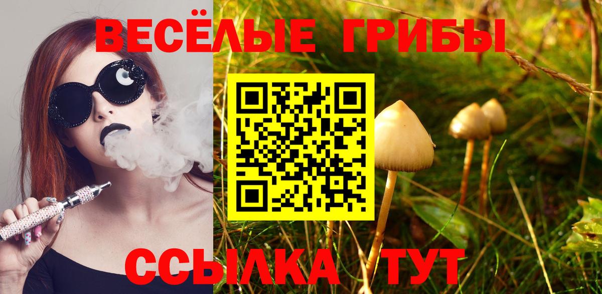Великий Новгород  Галлюциногенные грибы ЛСД  Вход с VPN 