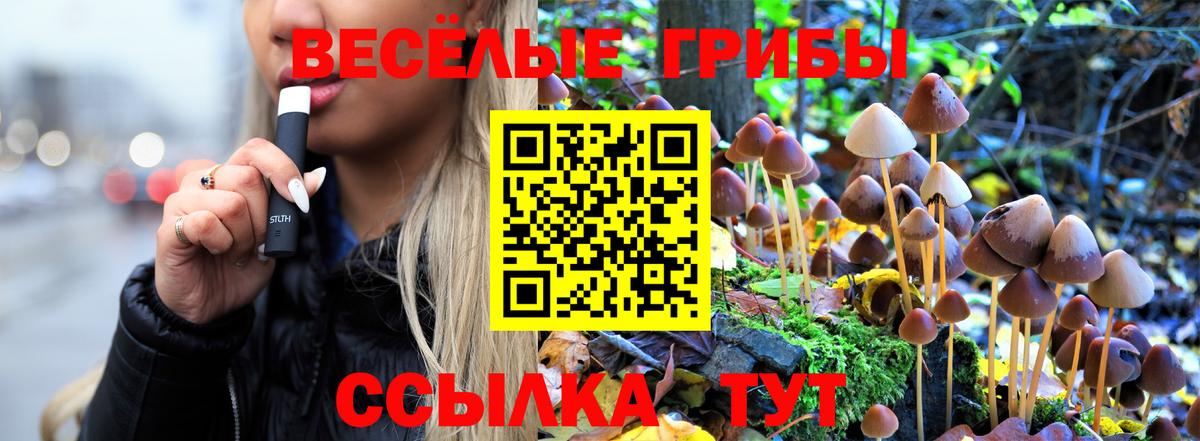 ГЕРОИН Великий Новгород